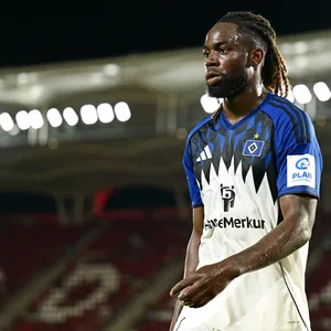 HSV-Profi Jordan Torunarigha