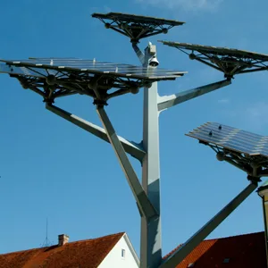 Solarbaum