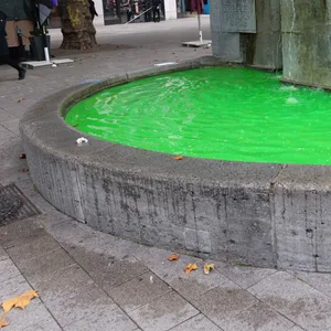 Das Wasser im Mönckebergbrunnen in der Hamburger Altstadt ist grün eingefärbt.