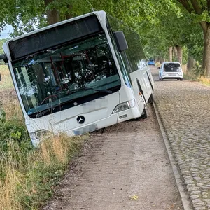 Bus Graben