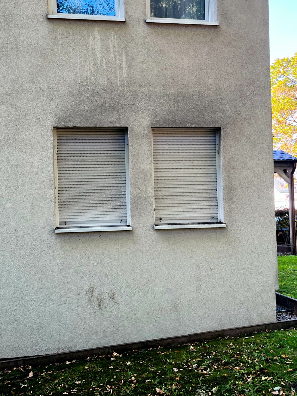 Schimmel, Ratten und kein Wamrwasser – Wohnhaus von Ex-Profi Trochowski verkmmt znehmend