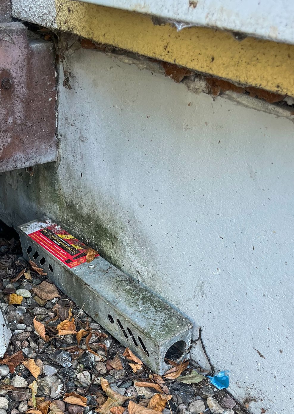 Rattenplage rund um Wohnhaus von Ex HSV Profi – Mieter sind sauer