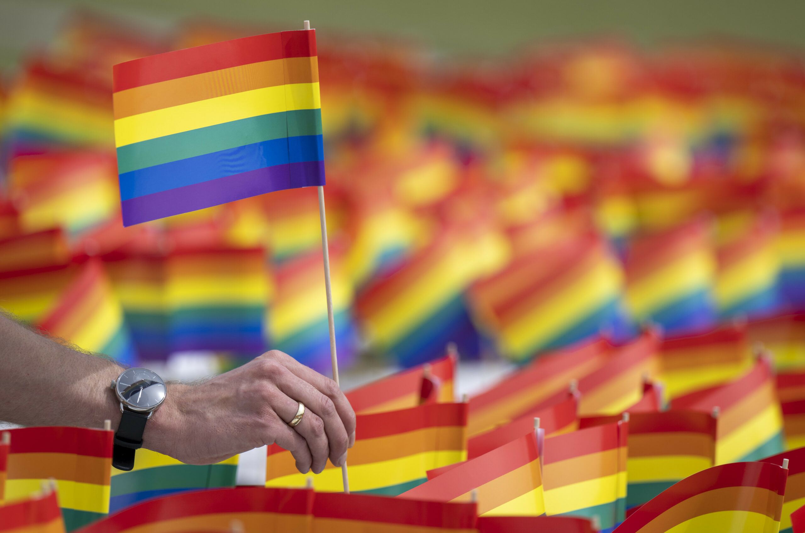 Eine Hand steckt eine Regenbogenflagge in die Erde vor dem Reichstagsgebäude.