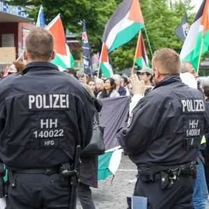Demonstranten mit Palästina-Flaggen (Archivbild).