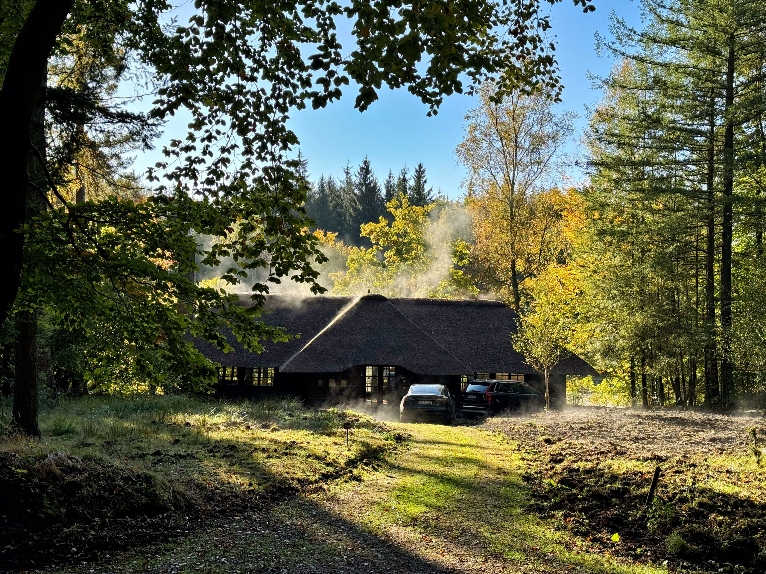 Ein Kleines Haus mitten im Wald, zwei Autos parken davor.