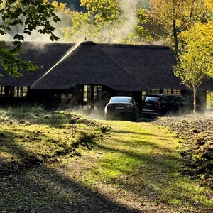 Ein Kleines Haus mitten im Wald, zwei Autos parken davor.