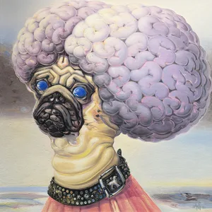 Ein Bild von einem Mops mit enormem Hirn.