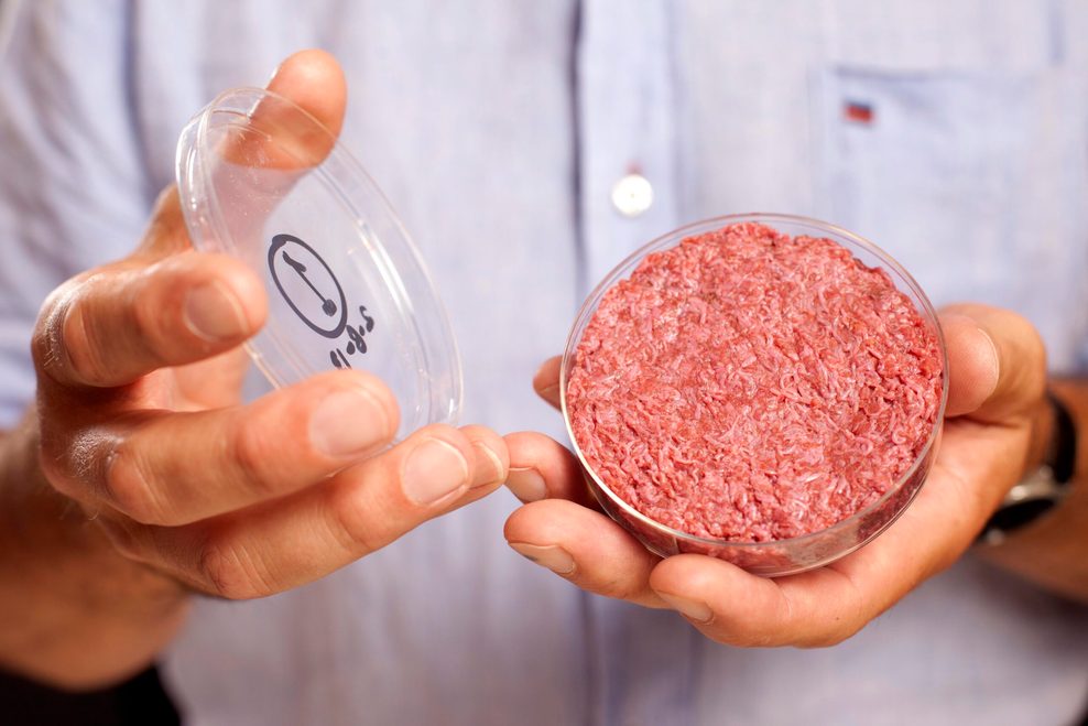 Professor Mark Post von der Universität Maastricht zeigt 2013 künstliches Fleisch aus dem Labor in einer Petrischale.