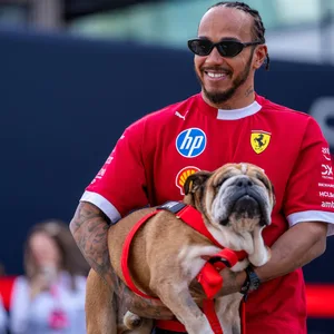 Roscoe in Lewis Hamiltons Armen.