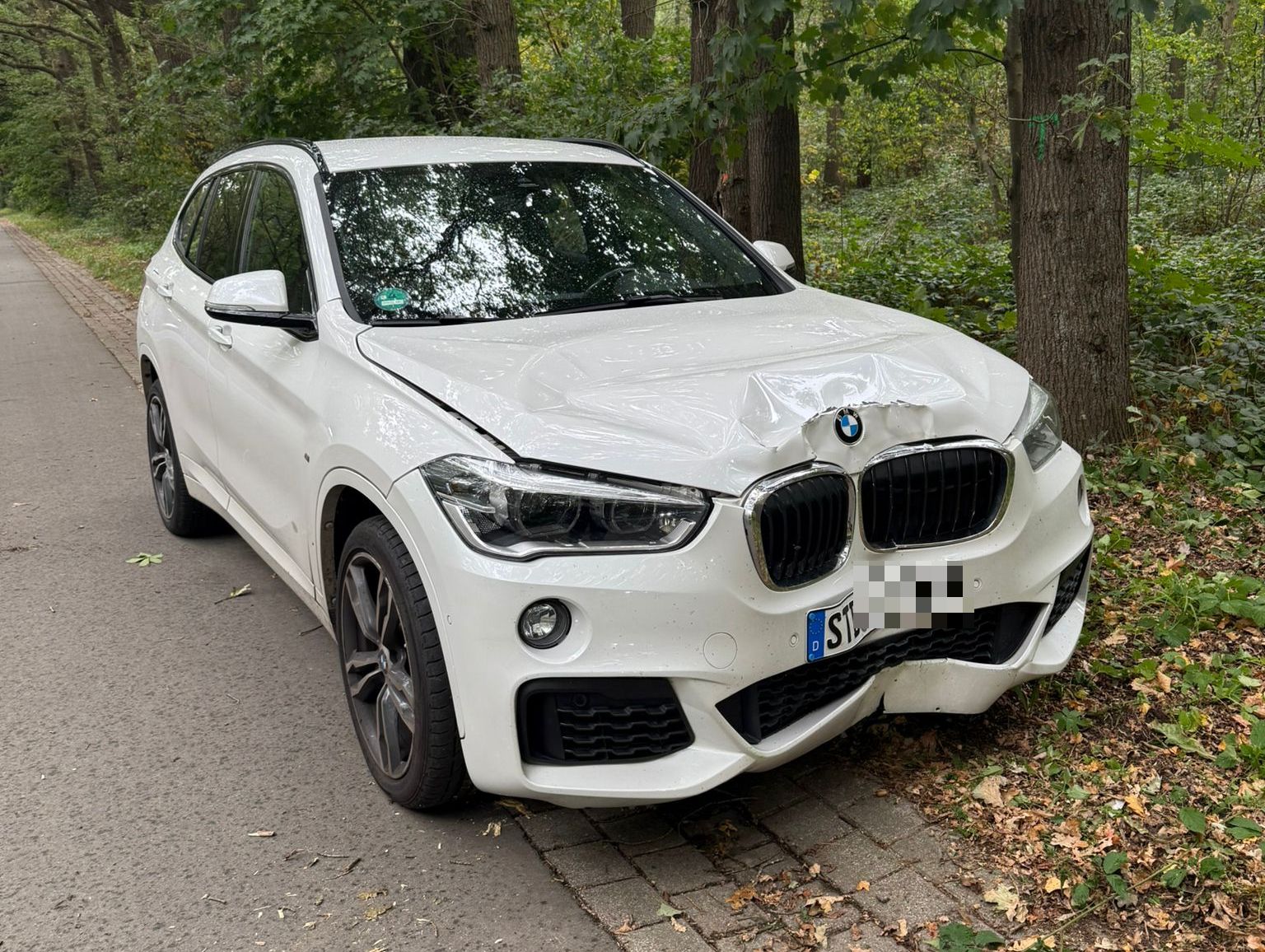 Der verunfallte BMW am Straßenrand