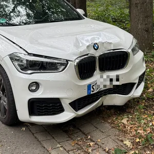 Der verunfallte BMW am Straßenrand