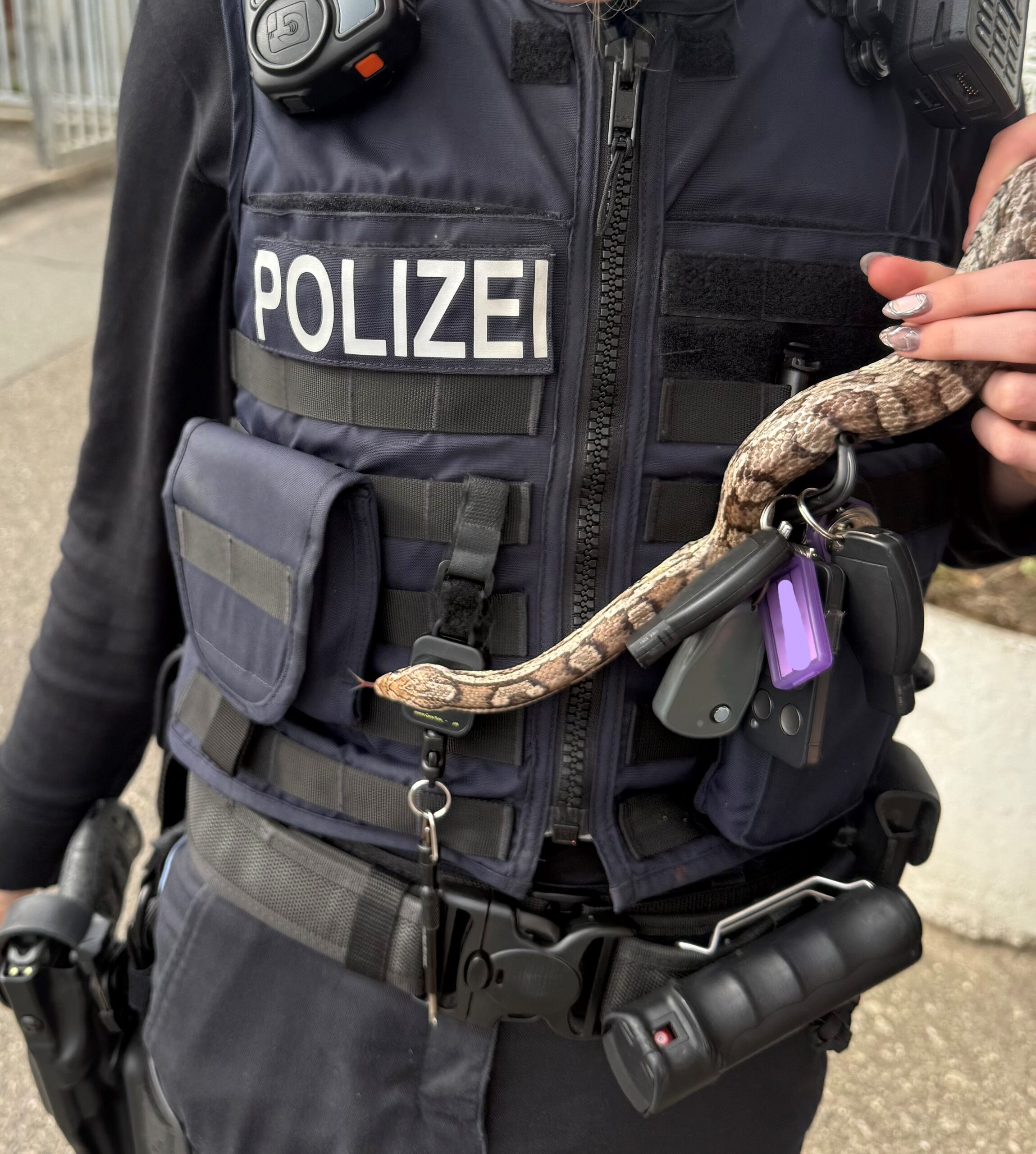 Eine Polizistin hält eine Schlange in der Hand.