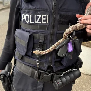 Eine Polizistin hält eine Schlange in der Hand.