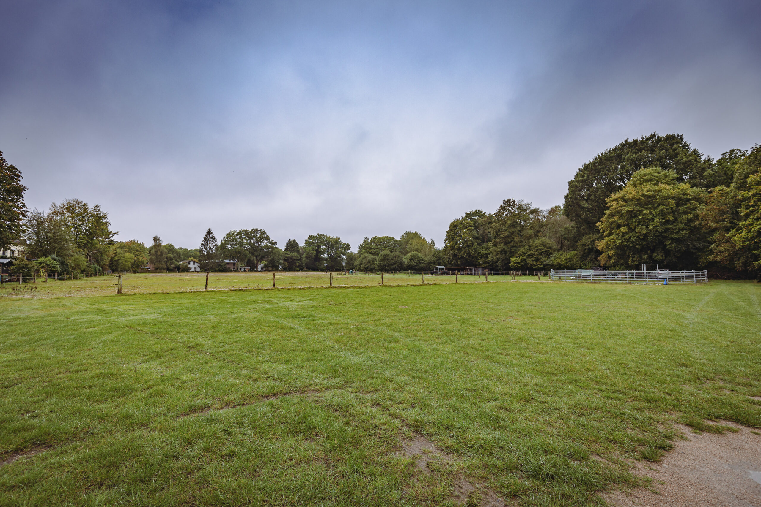 Festwiese