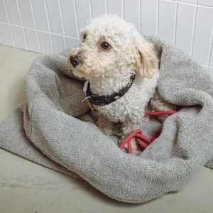 Der Kuschelschlafsack ist der absolute Renner im Onlineshop von Melanie Grote.