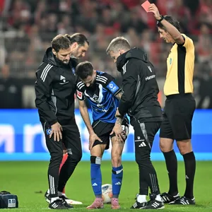 Schiedsrichter Deniz Aytekin zeigt dem verletzten Fábio Vieira die Rote Karte