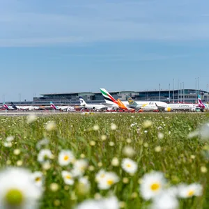 Hamburger Flughafen.