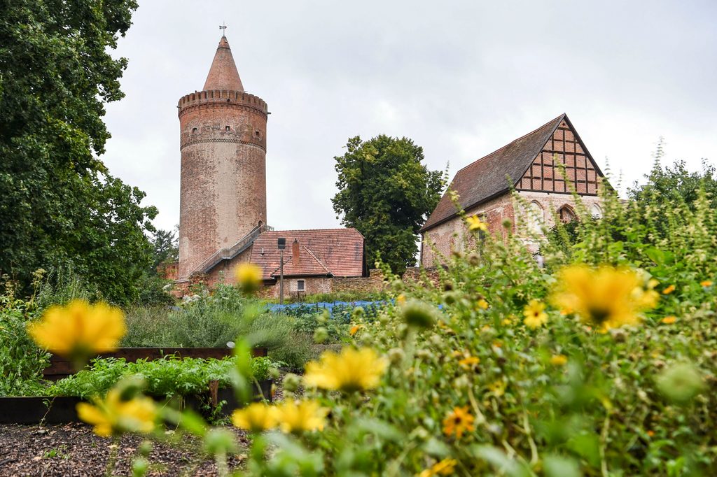 Ein Blick auf die Burg Stargard aus dem historischen Wurz- und Krautgarten.