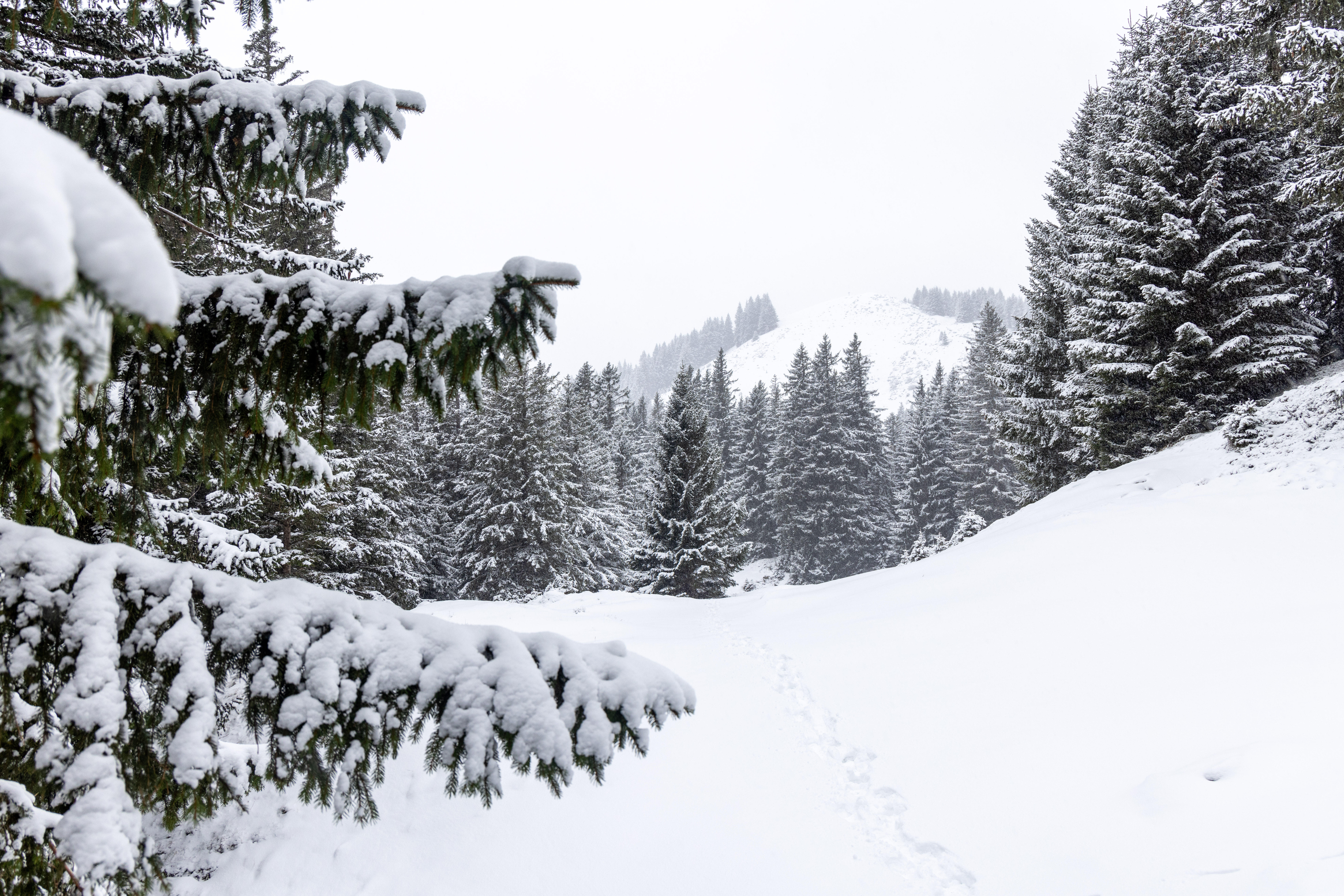Im Alpenraum wird ab Montag Schnee erwartet (Symbolfoto).