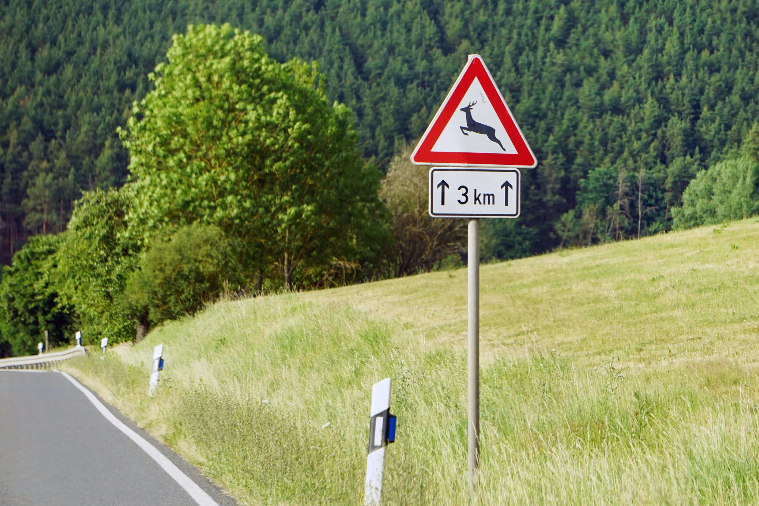 Autofahrer will Wildtier ausweichen und kracht gegen Baum – Lebensgefahr
