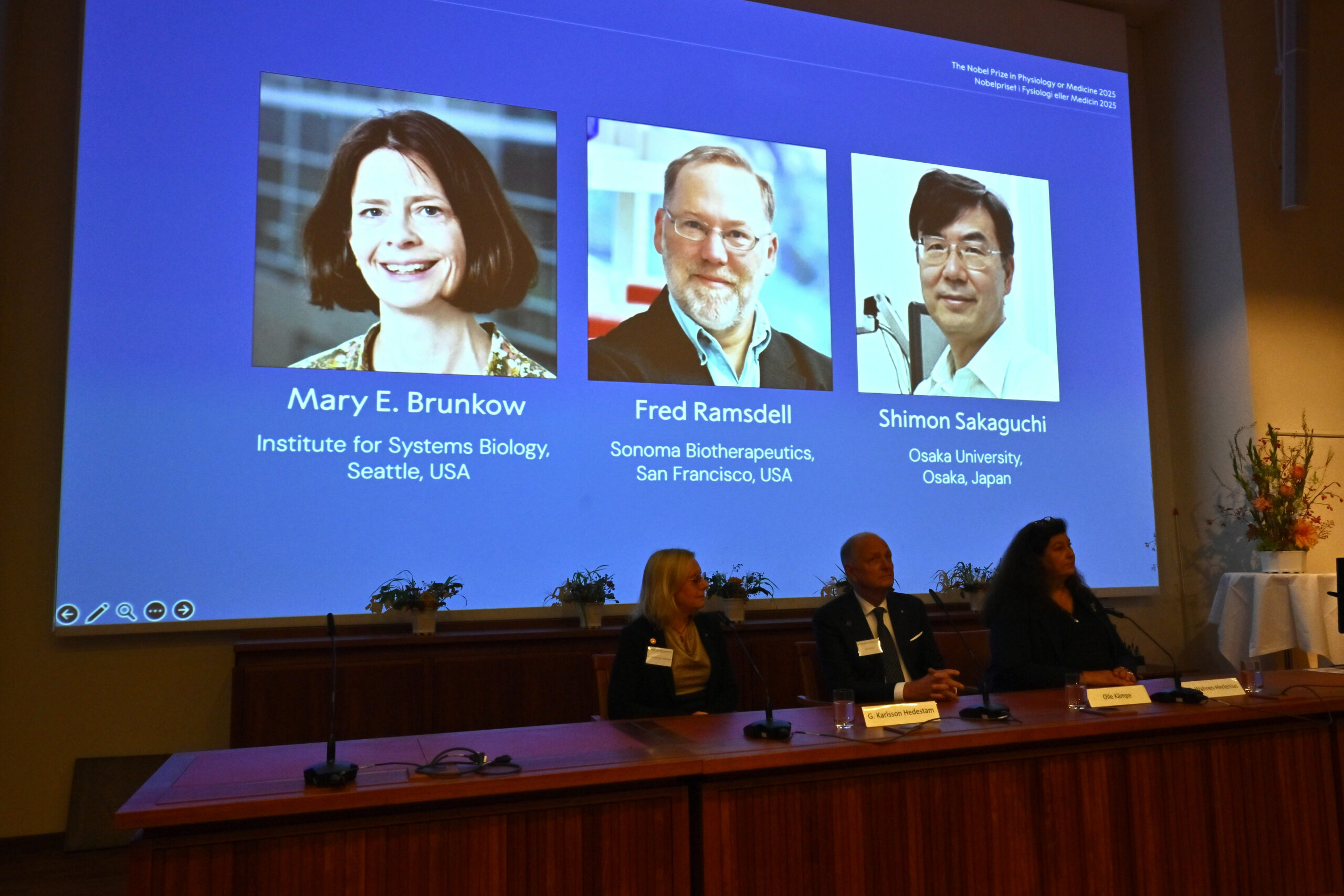 Ein Bildschirm zeigt die Fotos von Mary E. Brunkow, Fred Ramsdell und Shimon Sakaguchi, denen der Nobelpreis für Medizin oder Physiologie verliehen wird.