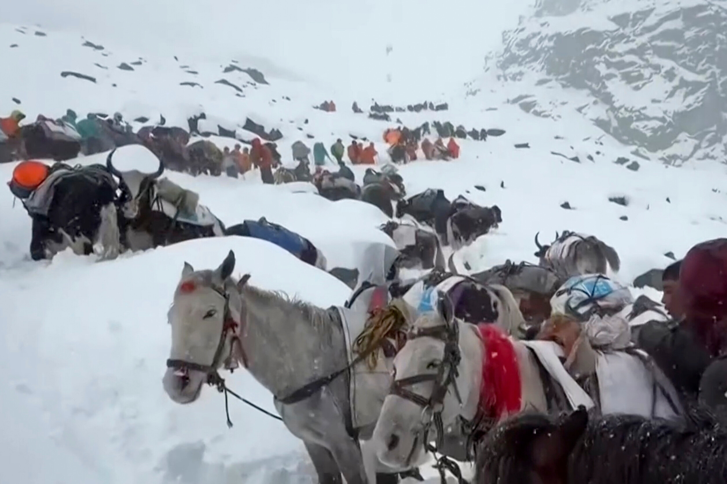 Dorfbewohner steigen mit ihren Ochsen und Pferden den Mount Everest hinauf, während sie versuchen, Hunderte von Wanderern zu erreichen, die durch den starken Schneefall eingeschlossen sind.