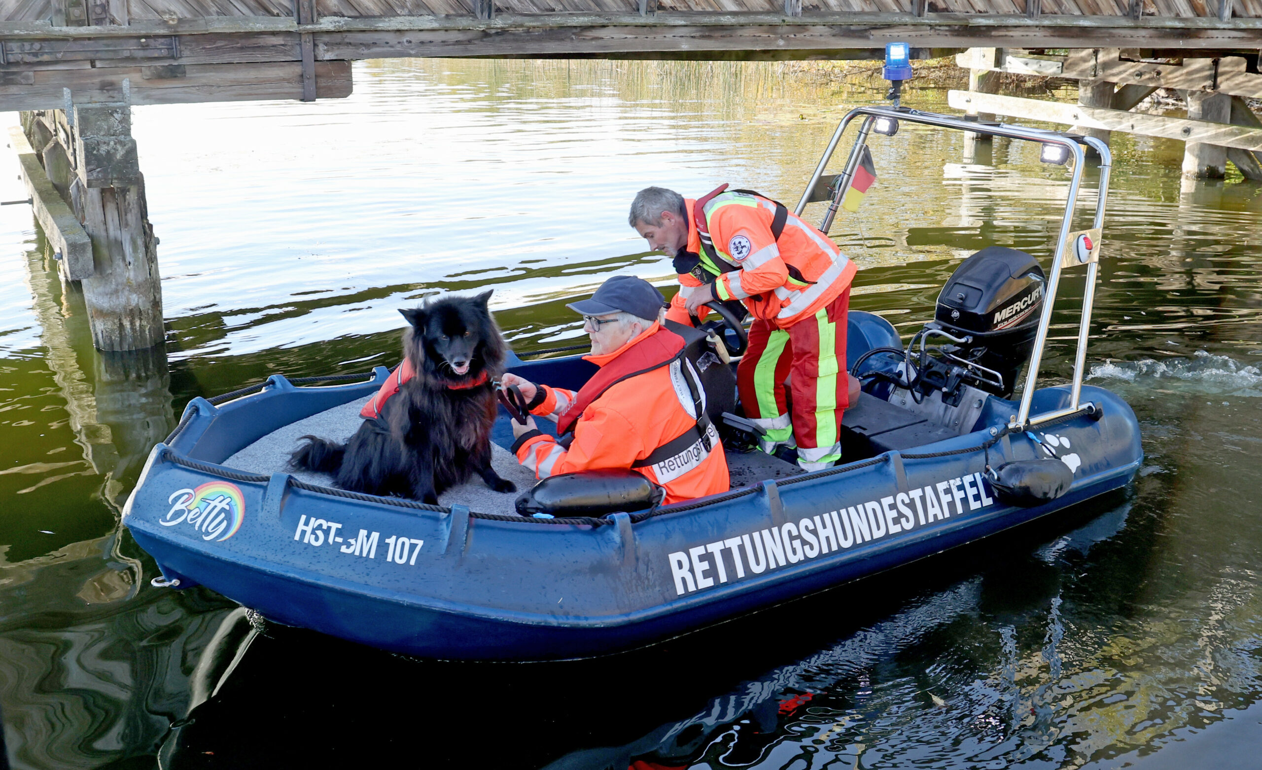 Güstrow Suche Fabian