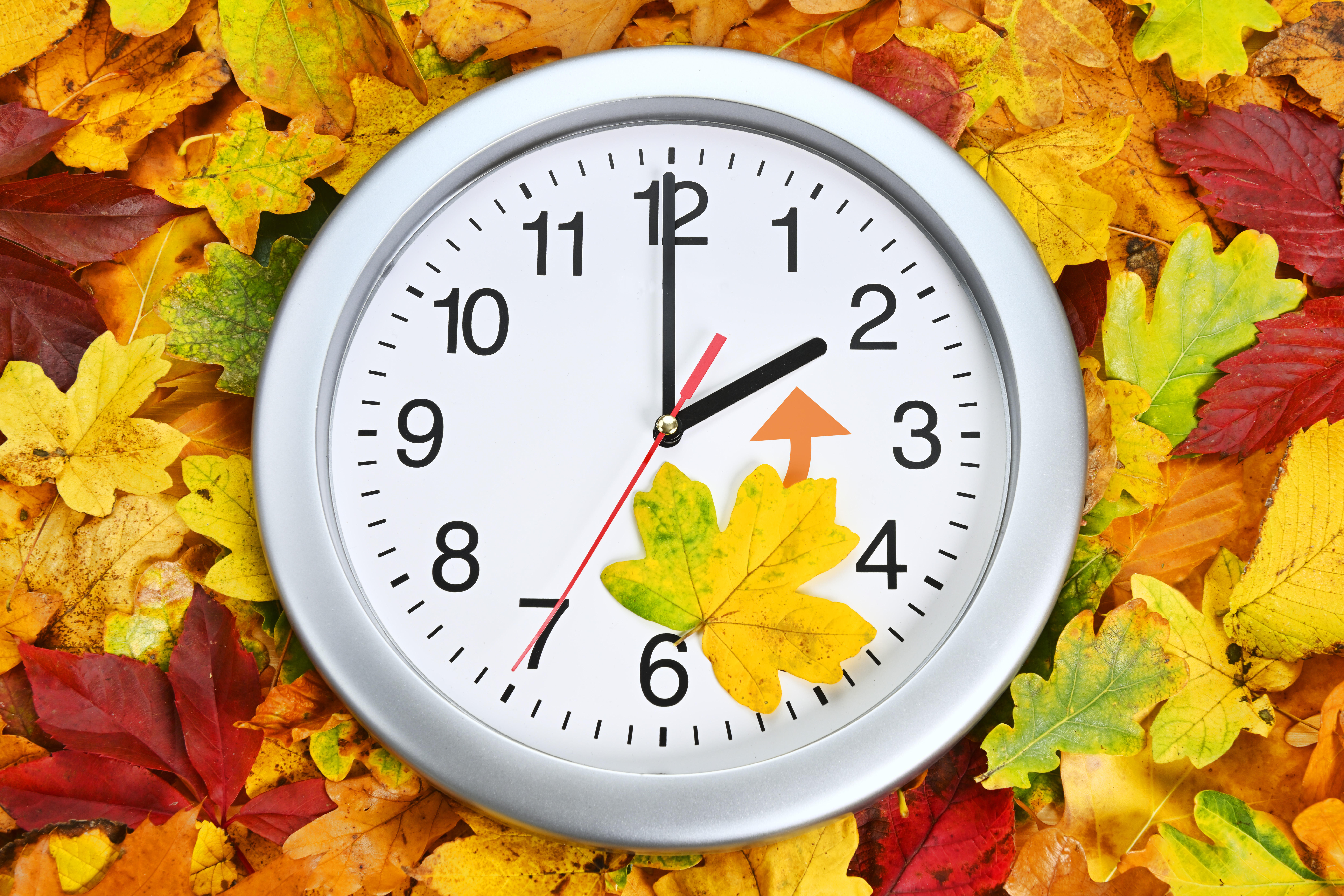 Zifferblatt mit Herbstlaub