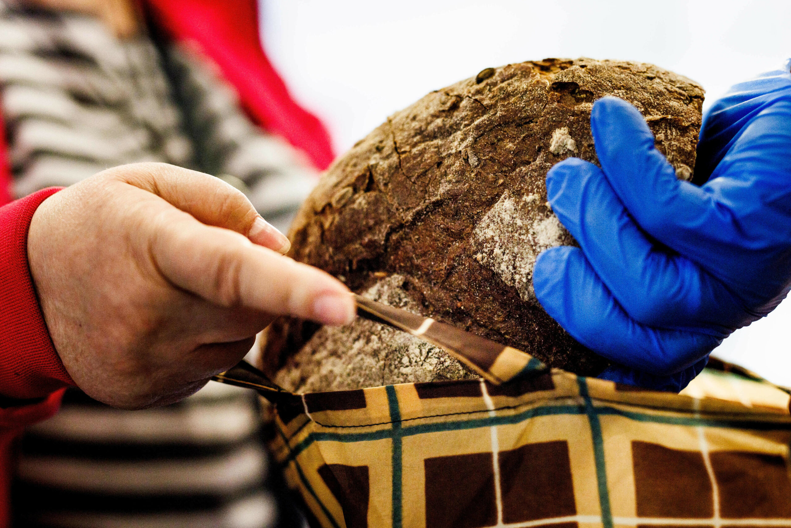 Eine Hand überreicht ein Laib Brot an eine ältere Person.