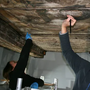 Fast 500 Jahre altes Deckengemälde in Lüneburger Supermarkt entdeckt.