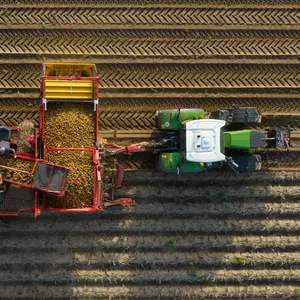 Kartoffelernte in Niedersachsen