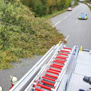 Ein Baum ist auf die A23 bei Schenefeld gestürzt.