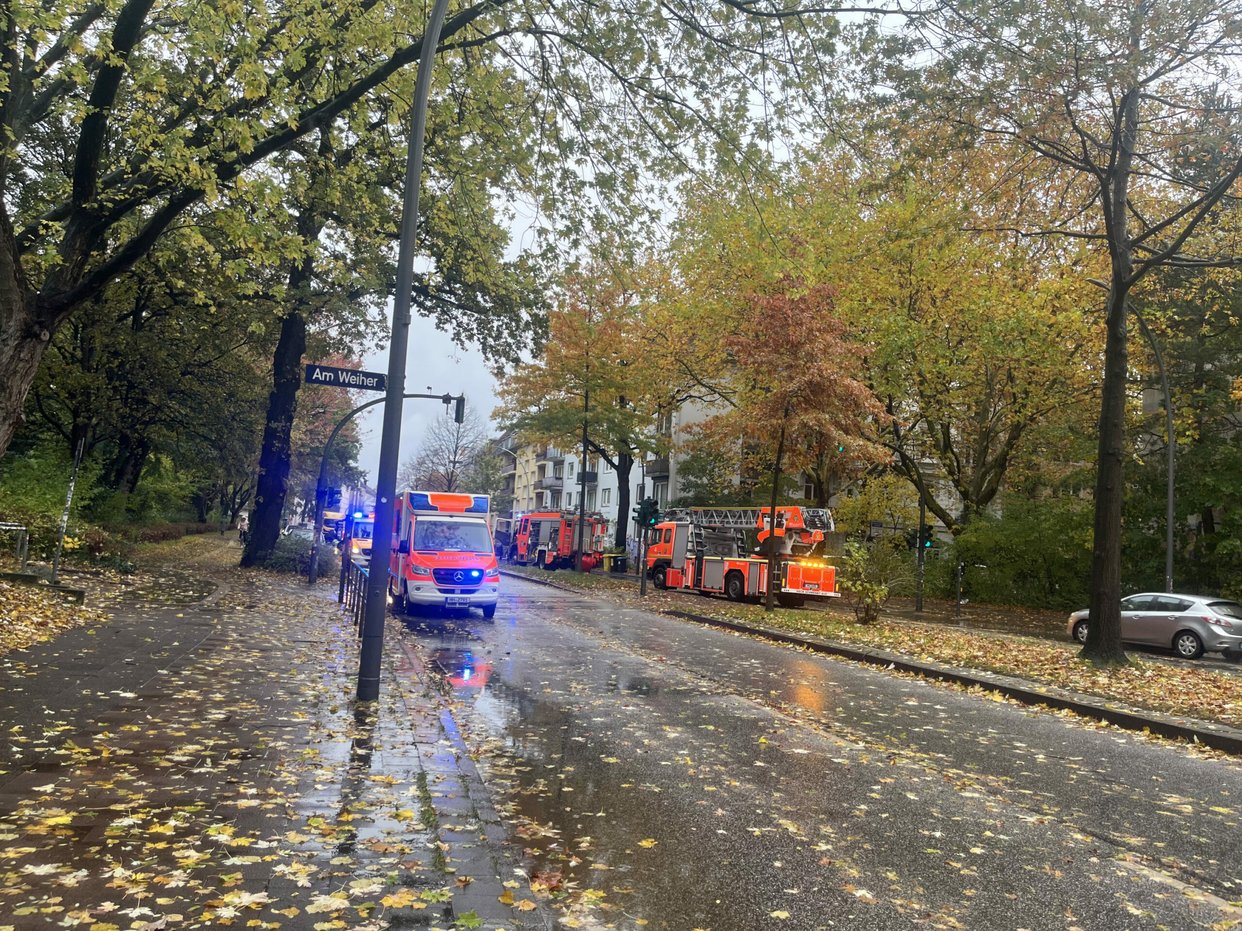 Eine Frau wurde lebensgefährlich verletzt, als am Donnerstagmorgen ein Baum umstürzte und sie von Ästen getroffen wurde.