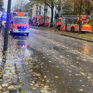 Ein Passant wurde lebensgefährlich verletzt, als am Donnerstagmorgen ein Baum umstürzte.