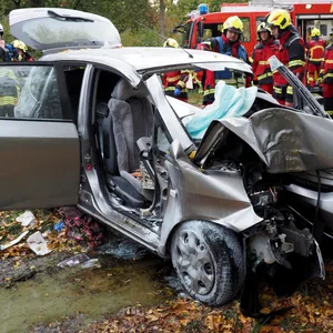 Auto gerät auf Bundesstraße bei EInhaus von der Fahrbahn ab und kracht gegen Baum – Fahrer tot