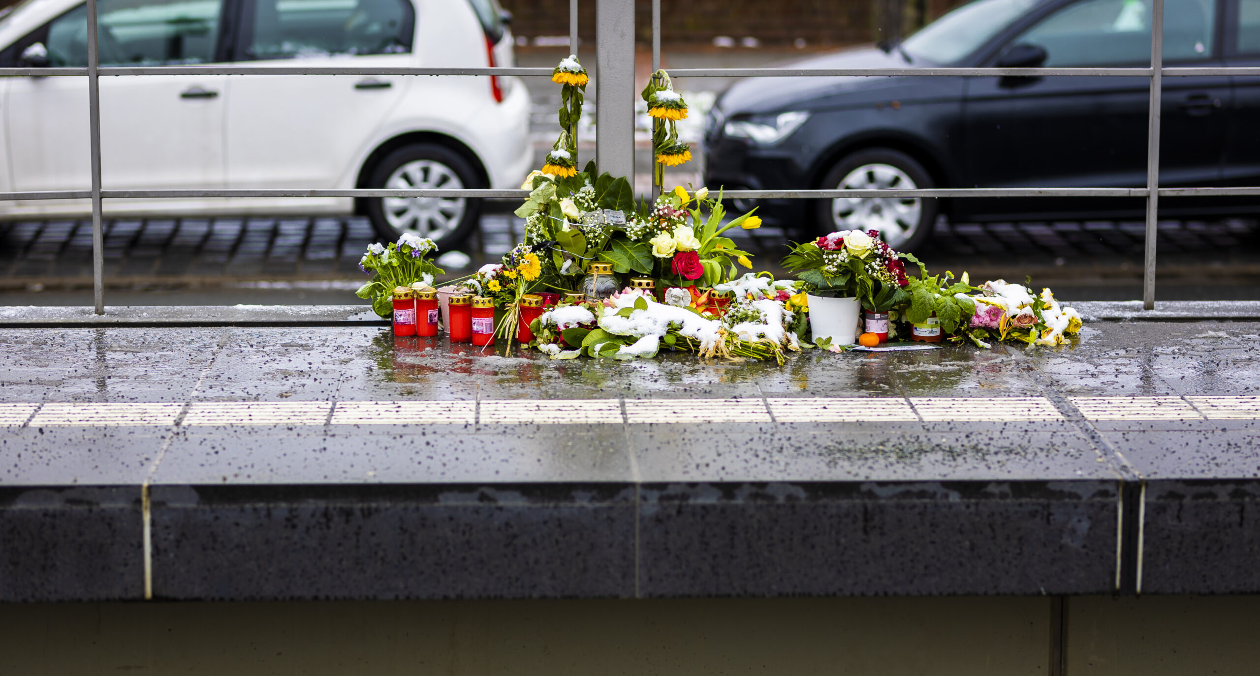 Blumen an der Haltestelle „Fiedelerstraße“ der Stadtbahn in Hannover.