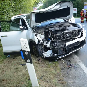 Der verunfallte Kia steht am Straßenrand.