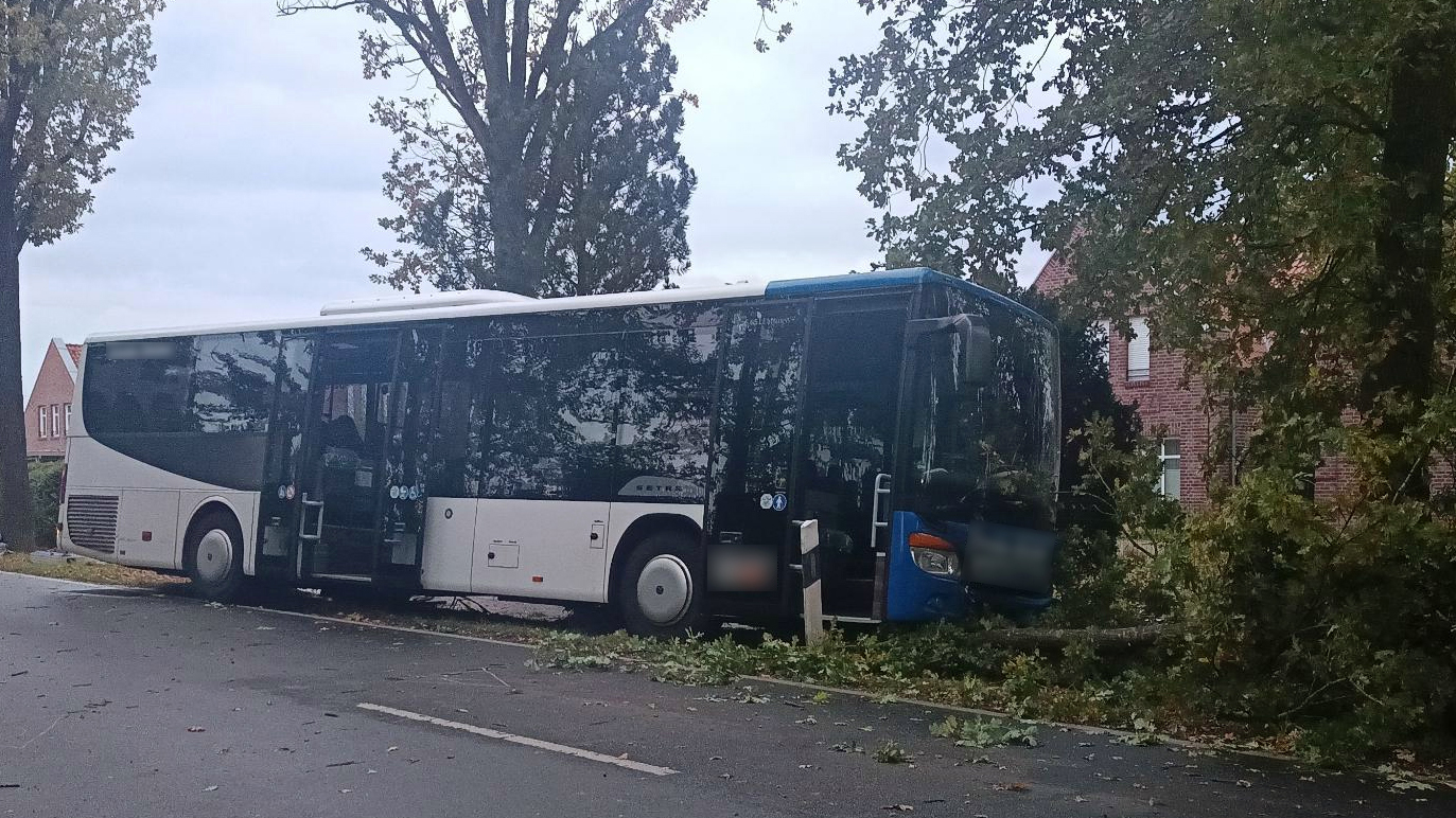 Der Busfahrer versuchte noch, den Zusammenstoß zu verhindern – vergeblich.