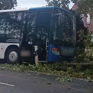 Der Busfahrer versuchte noch, den Zusammenstoß zu verhindern – vergeblich.