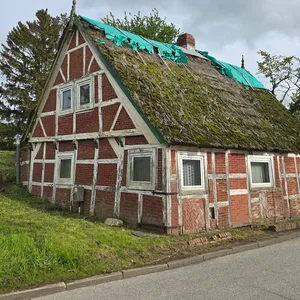 Das alte Fachwerkhaus steht direkt an der Straße und ist von vielen Bäumen und Büschen umgeben. Ein paar Fenster sind mit Holz abgedeckt und die Balken am Haus sind marode. Auf dem Dach liegt eine blaue Plane.