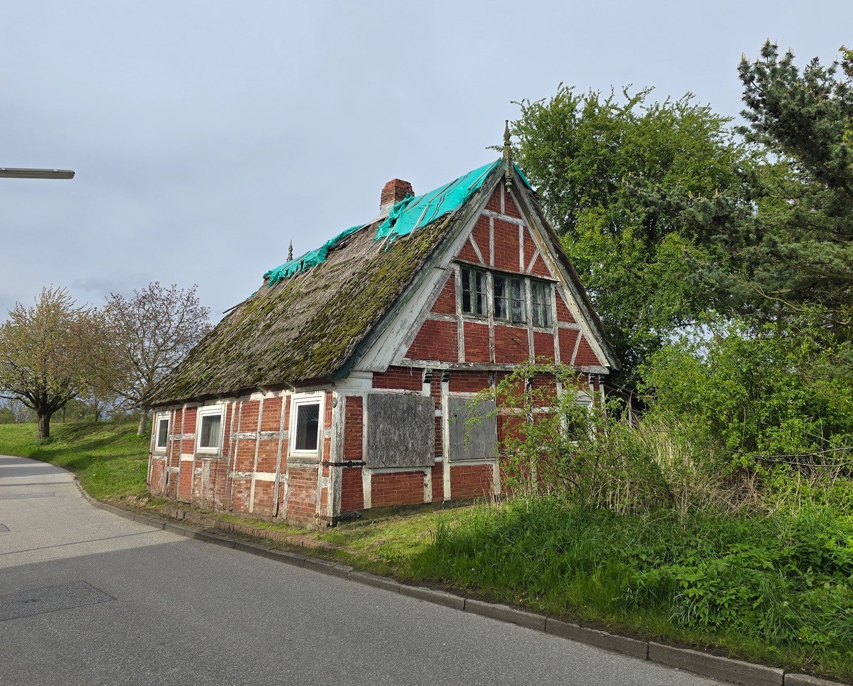 Das alte Fachwerkhaus steht direkt an der Straße und ist von vielen Bäumen und Büschen umgeben. Ein paar Fenster sind mit Holz abgedeckt und die Balken am Haus sind marode. Auf dem Dach liegt eine blaue Plane.