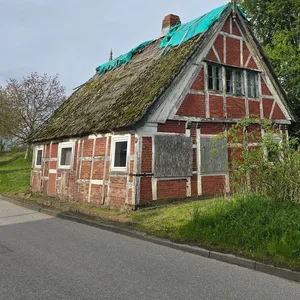 Das alte Fachwerkhaus steht direkt an der Straße und ist von vielen Bäumen und Büschen umgeben. Ein paar Fenster sind mit Holz abgedeckt und die Balken am Haus sind marode. Auf dem Dach liegt eine blaue Plane.