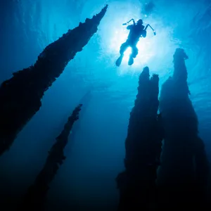 Unterwasseraufnahme eines Tauchers