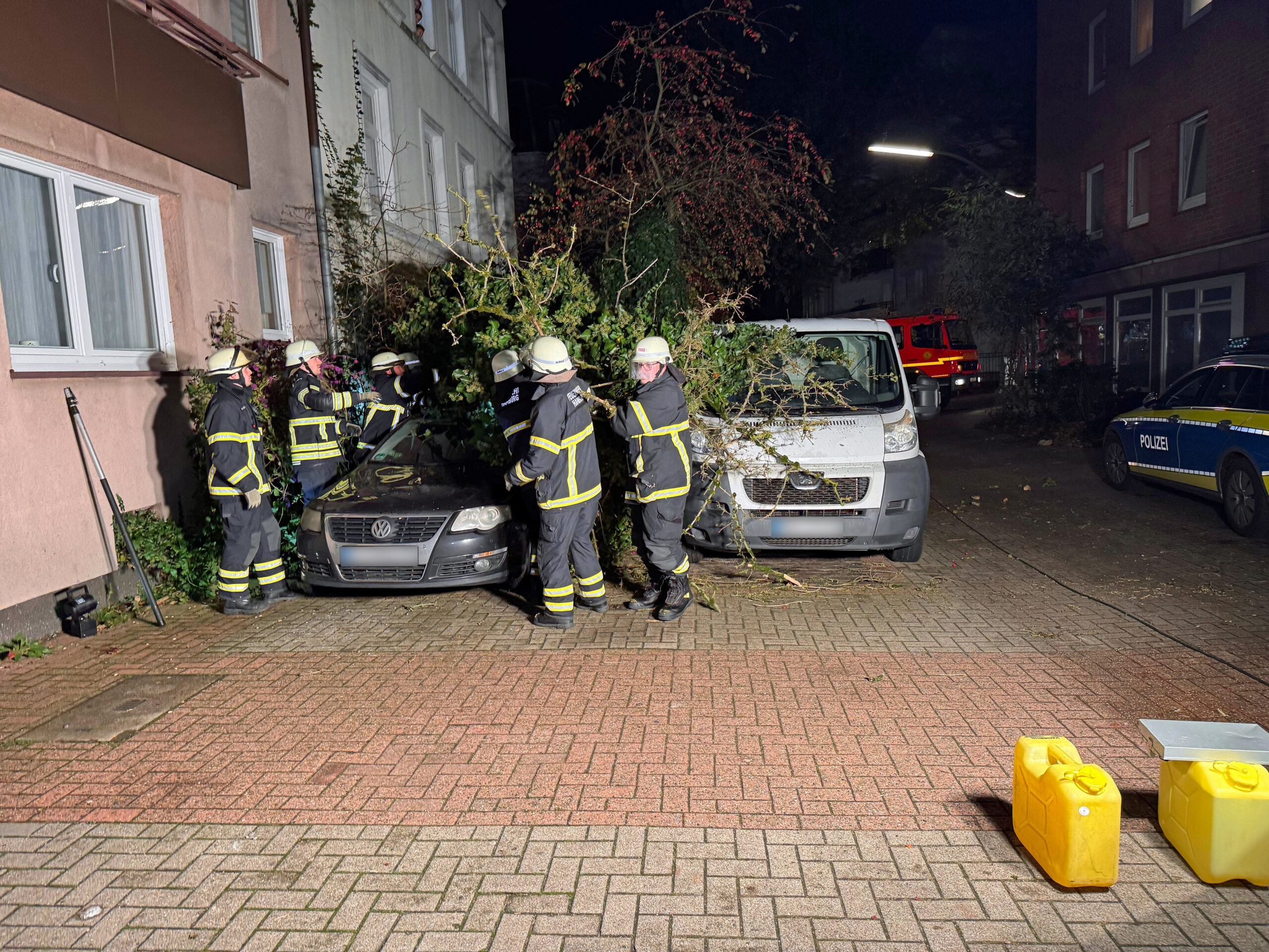 Im Harburger Phoenixviertel stürzte ein Baum auf einen geparkten Pkw.