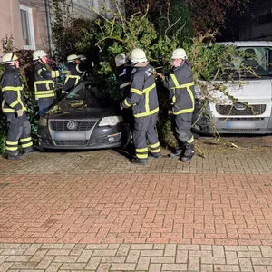 Im Harburger Phoenixviertel stürzte ein Baum auf einen geparkten Pkw.