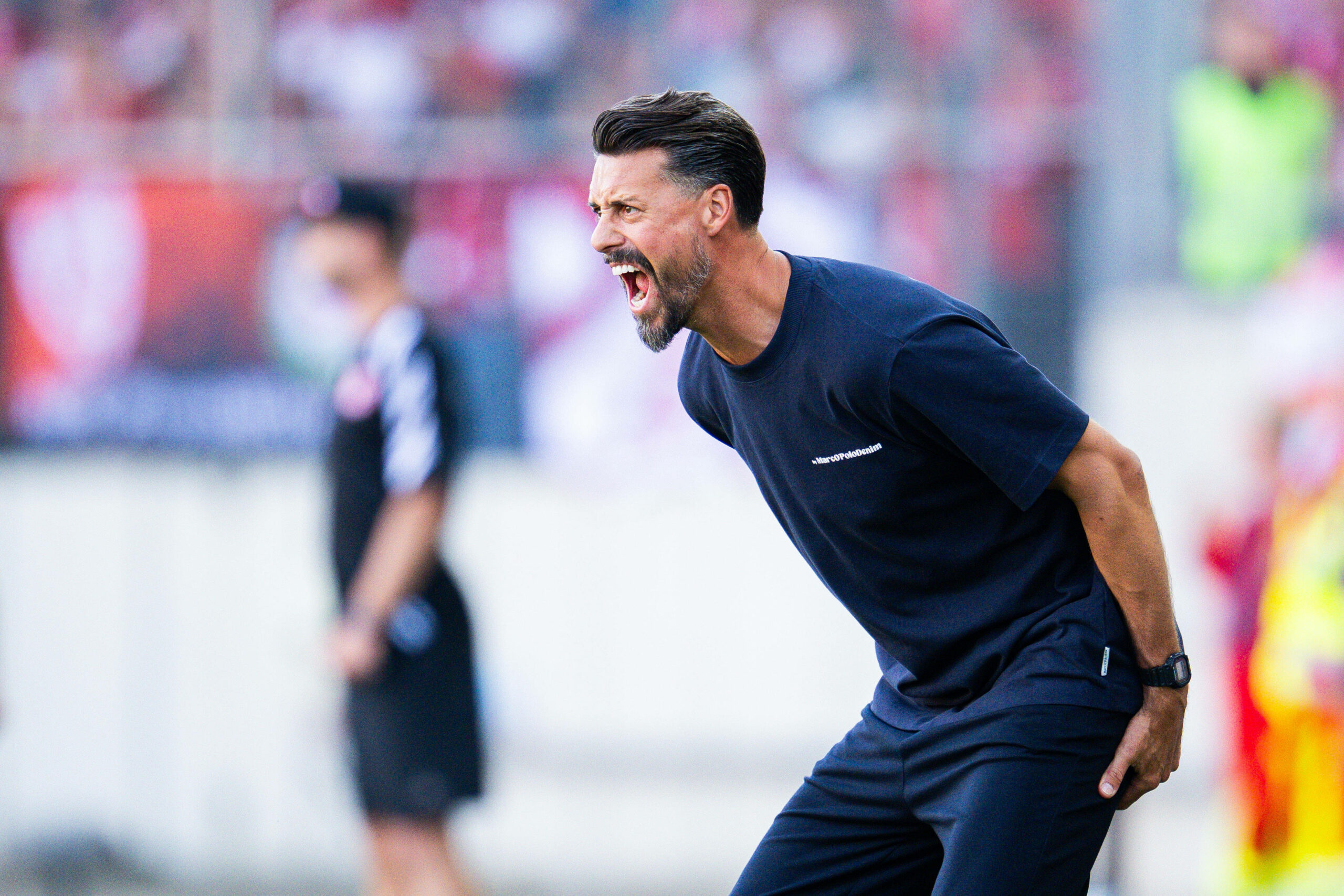 Sandro Wagner schreit