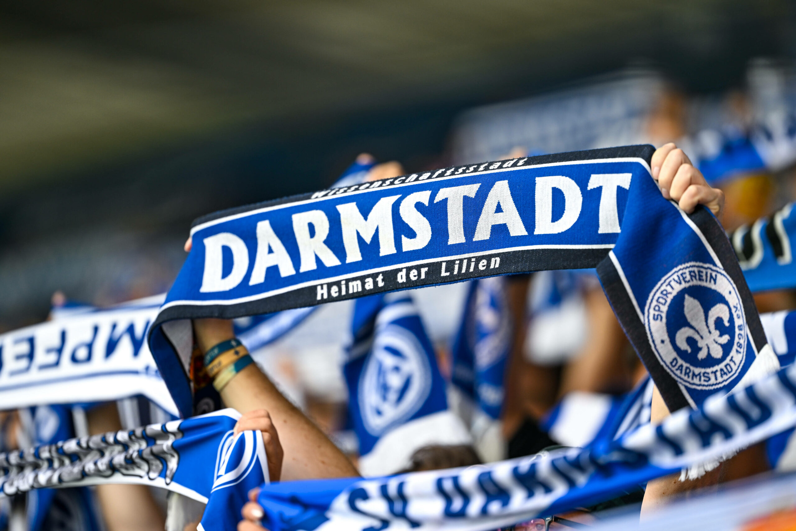 Darmstadt Fan-Schals