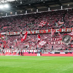Das Stadion des 1. FC Köln