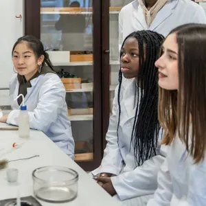 Auch in den Naturwissenschaften (hier Chemieunterricht) machten Hamburger Schüler ein paar Plätze gut.