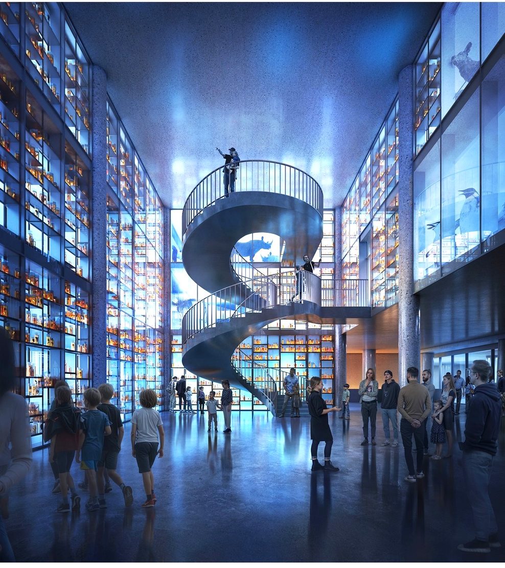 Im Elbtower soll ein Naturkundemuseum entstehen, nun gibt es erste Visualisierungen, wie das Museum aussehen könnte.